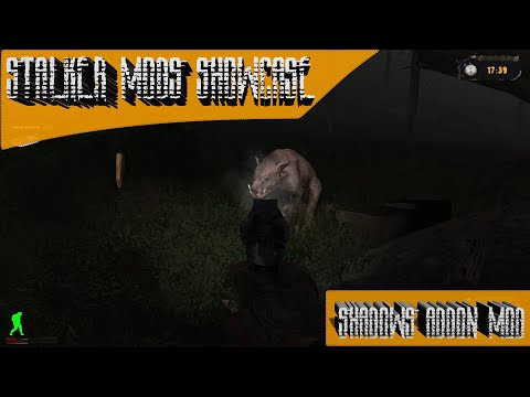 Stalker Mods Showcase 140 - Shadows addon Mod