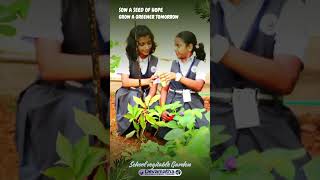 School Video