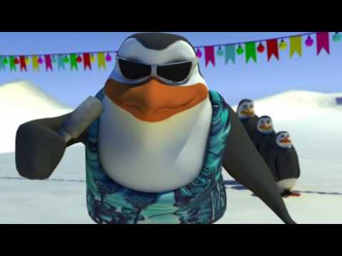 Schiffie & Co - Pinguïndans - Pinguindans