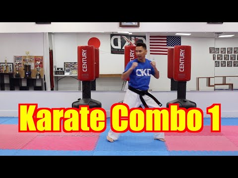 KARATE for Beginners - Lesson 4 / Karate combo