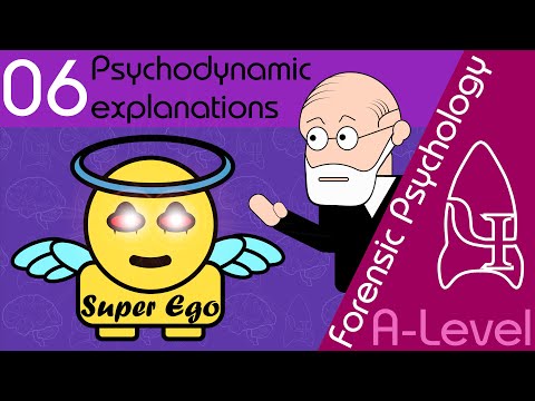 6 Psychodynamic