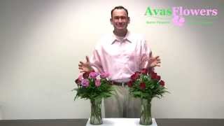 Avas Flowers - How to Care for your Roses