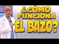 BAZO Cómo Funciona Cuerpo Humano 12