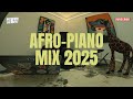 AFRO-PIANO MIX 2025