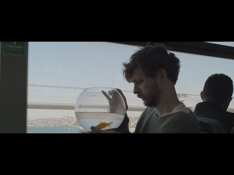 Ozan Tekin - Life Blooms In Concrete (Official Video)