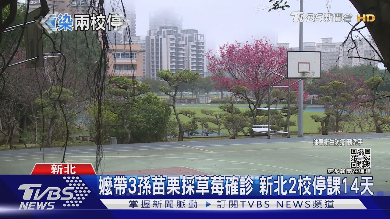 嬤帶3孫苗栗採草莓確診　新北2校停課14天