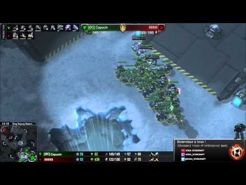 [SC020] Coaching de Capucin - Joueur Terran Diamant