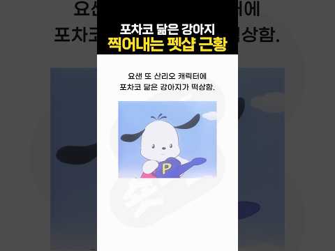 포차코 닮은 강아지 찍어내는 펫샵 ㄷㄷ