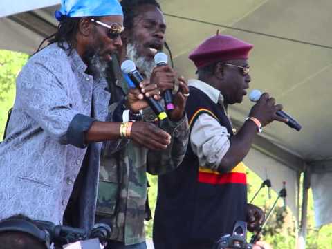 DEM FREE THE SES ABROAD --  The Mighty Diamonds