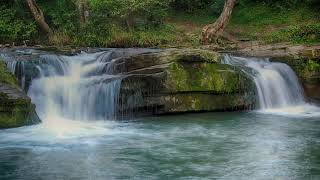 Download lagu Relaksasi / terapi suara alam & walang kecek masteran khusus lovebird mp3