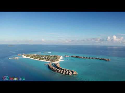 Videos del Heritance Aarah 5★ en Atolón Raa, MaldivasVer MásVerPrecios16CerrarConsulta por Whatsapp 🇦🇷BookingTripadvisorExpediaAgodaTravelocityOrbitzTripSkyscannerDespegarHotelesDestiniaTrivagoTurismocityLastminuteTuiWotif