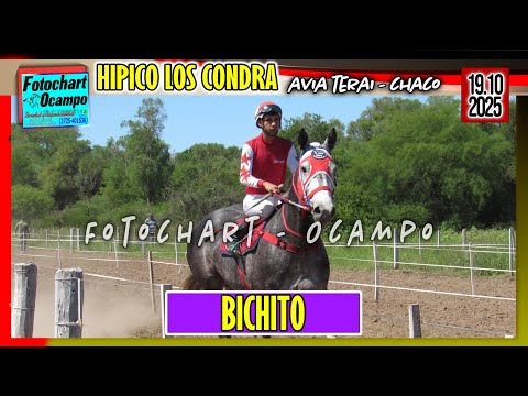 BICHITO Avia Terai CH 19 10 2025