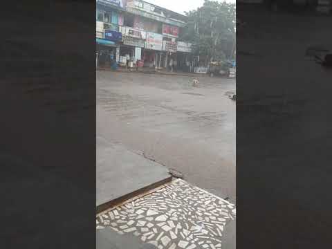 Dogs come 💋💋💋💋eppudkadu varshm vstunddi