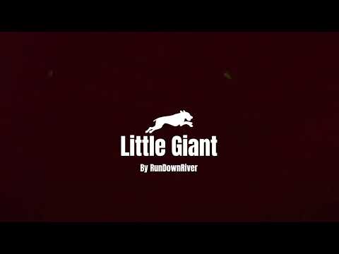 Little Giant - RunDownRiver