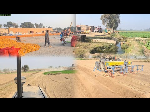 Makai ki casht start karne lage Hain Dekhen kya banta hai allah khar kara mosam pata ni keya kara ga