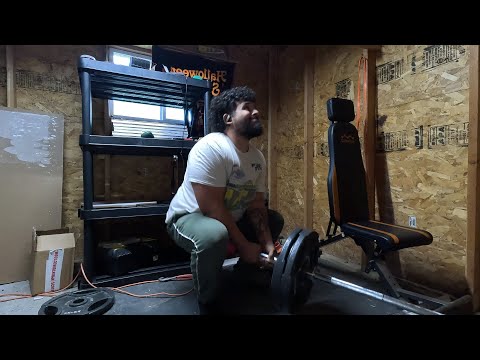 Bodybuilding in Shed Spring Cut Arc Day 6 - Legs #bodybuilding #gains #gym