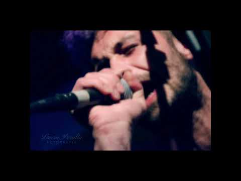 Roxana Porcellana (Patricio Rey) x Fievre Azul