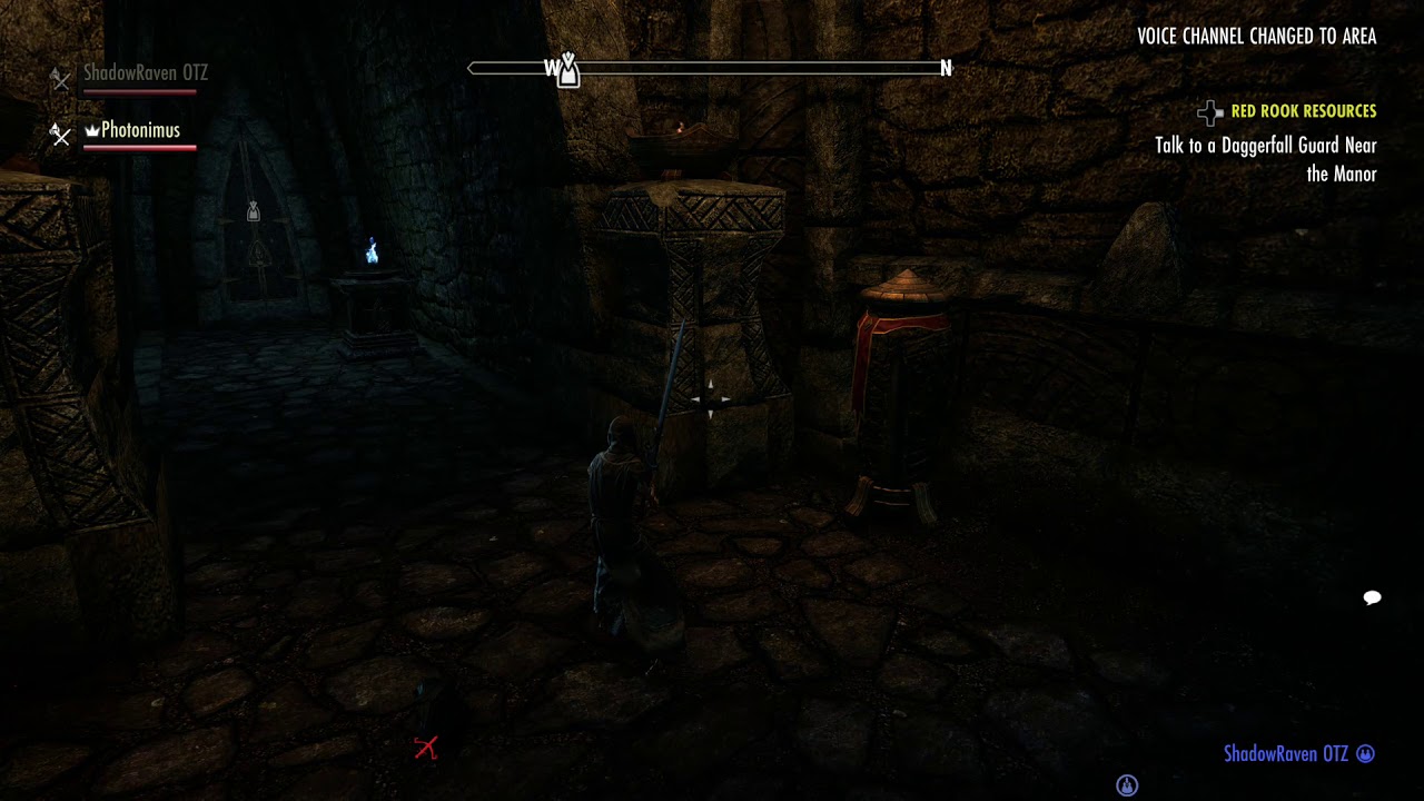 Elder Scrolls Online. Voice chat bug