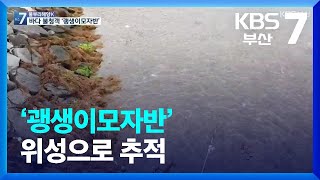 [KBS부산] 풀뿌리 해양K