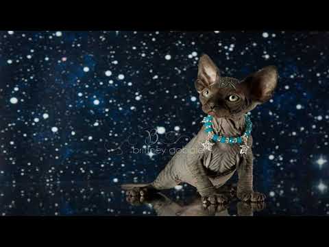 Alex Byrka & Ruslan Device feat. Breame - Andalucia