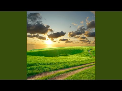 Por que así me criaron