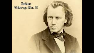 Johannes Brahms: Waltz Op. 39 Nr. 15