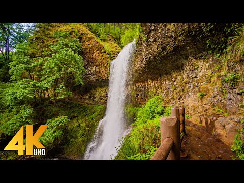 8 HOURS Forest Walk along the Trail of Ten Falls - Waterfalls of Silver Falls State Park in 4K UHD