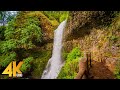 8 HOURS Forest Walk Along The Trail Of Ten Falls Waterfalls Of Silver Falls State Park In 4K UHD
