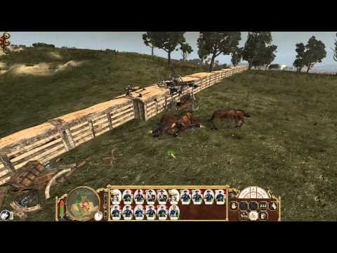 Total War: Empire - Artillery Suicide