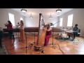 Timbre - Song of the Sun - NPR's Tiny Desk ...