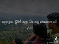 Mulawe මුලාවෙ Songs Lyrics Status Video