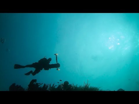 Diving The Guanica Wall Puerto Rico/Reef sharks/Genesis, Piranha, BT Dpvs.