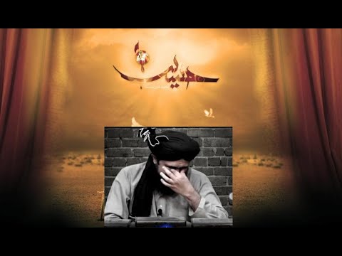 Maqtal-e-Imam Hussain (عَلَيْهِ ٱلسَّلَامُ) | Fight with Zulfiqaar By Engineer Mohammad Ali Mirza