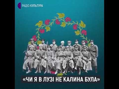 Історія створення пісні Червона калина 1914