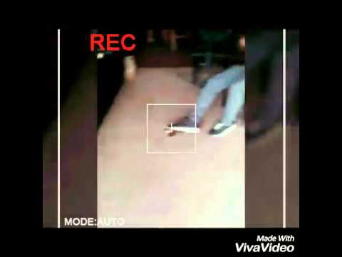 J The Bam  and  Joe Blow - survival!