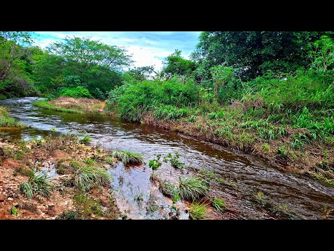 RIO DA CAIXA JATOBÁ CHEGOU MUITA ÁGUA MUNICÍPIO DE RIO DO PIRES BAHIA #bahia #nordeste #sertão