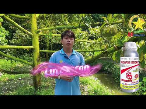 💥💥💥 RONFOS 550EC - LÁ CHẮN THÉP BẢO VỆ TOÀN DIỆN SẦU RIÊNG!!