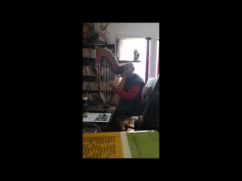 Puerto Tirol en un "Viaje musical por las Américas" en alas del arpa paraguaya.