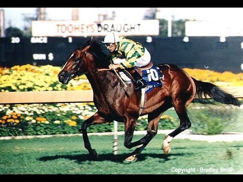 1989 NINE News _ Horse Racing _ Beau Zam