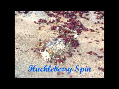 Electronic Music Sucks-Huckleberry Spin