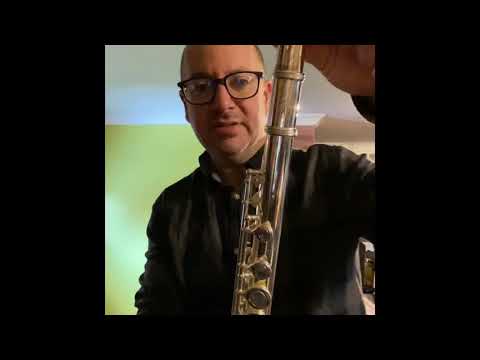 Flute demonstration - Trevor James, Jupiter & Pearl