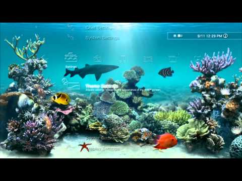 Reef Aquarium Playstation 3