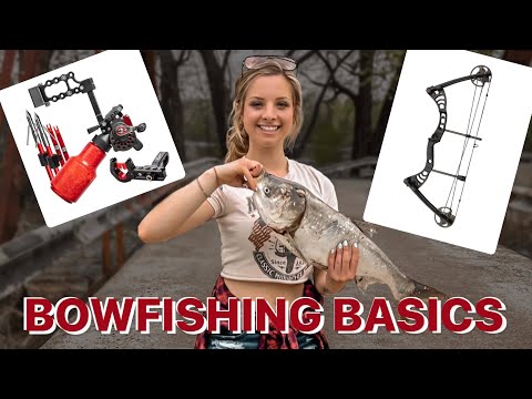 Bowfishing Basics! - for beginners