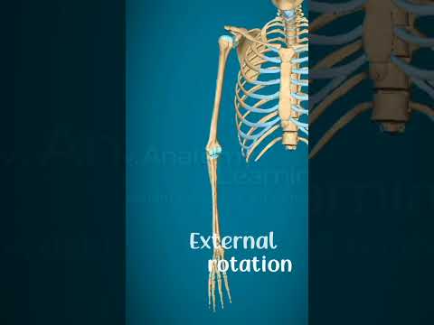 Internal and external rotation of shoulder joint#physiorehab#drsamia