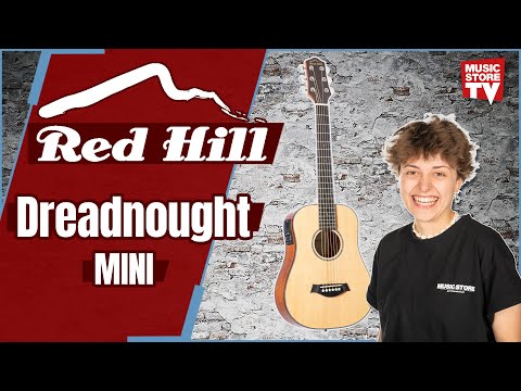 Red Hill Dreadnought Mini Natural Matt - Acoustic Guitar image 11