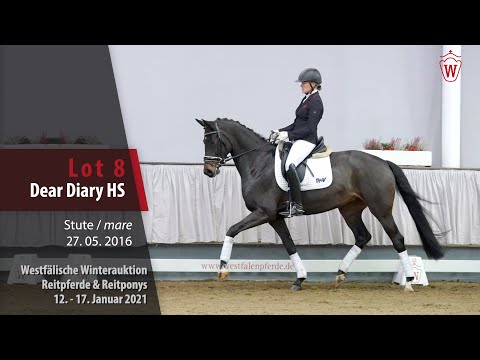Winterauktion Reitpferde & Reitponys Lot 8 Dear Diary HS Stute v. Don Romanov - Sandro
