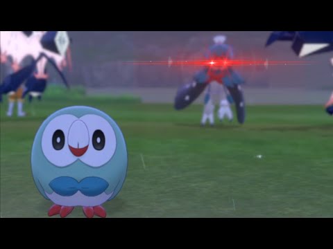 Rowlet Is over-protected by Decidueye
