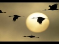 OST Sandglass - Zhuravli (Cranes) - Iosif Kobzon ...