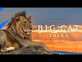 Big Cat Tales Part 2 Animal Planet Full Episode In Hindi Documentary In Hindi