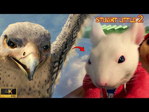 Falcon Attacks Stuart Little - Rooftop Battle Scene | Stuart Little 2